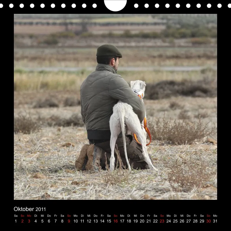 Galgos 2011 Deutschland