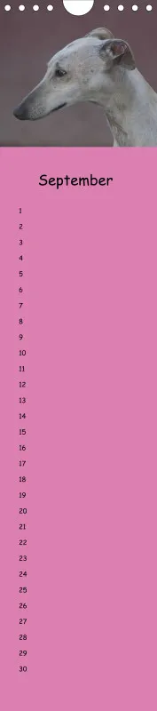 Dauerkalender Galgos