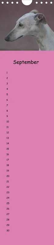 Dauerkalender Galgos
