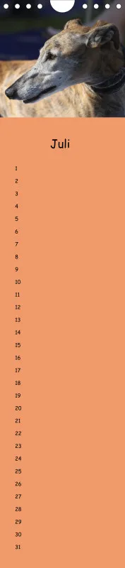 Dauerkalender Galgos