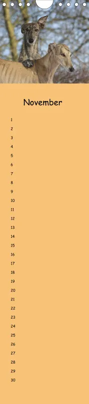 Dauerkalender Galgos