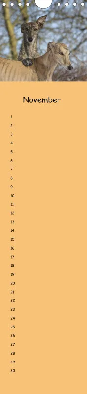 Dauerkalender Galgos