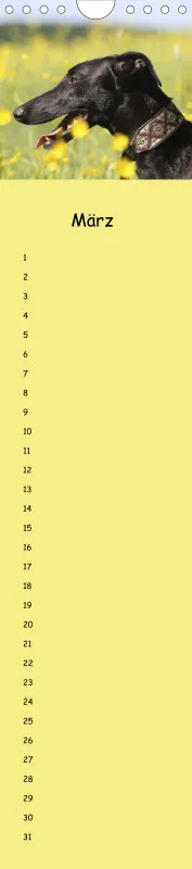 Dauerkalender Galgos