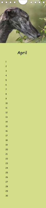 Dauerkalender Galgos