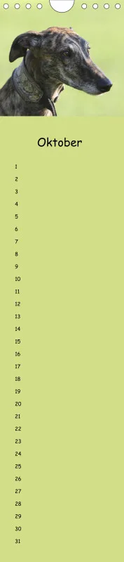 Dauerkalender Galgos