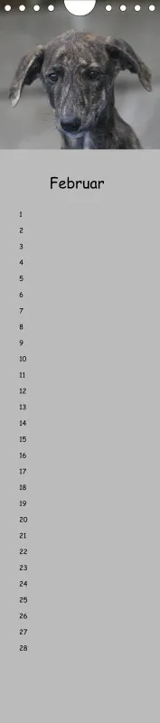 Dauerkalender Galgos