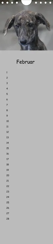 Dauerkalender Galgos