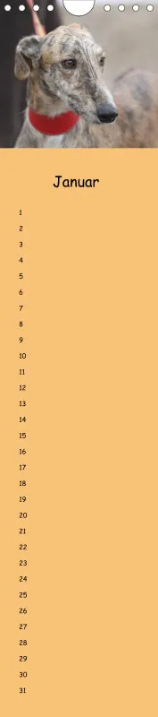 Dauerkalender Galgos