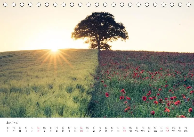 Landschaften 2021 Tischkalender
