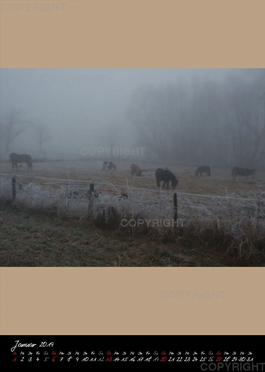 Bildkalender 2019 Lucky Farm