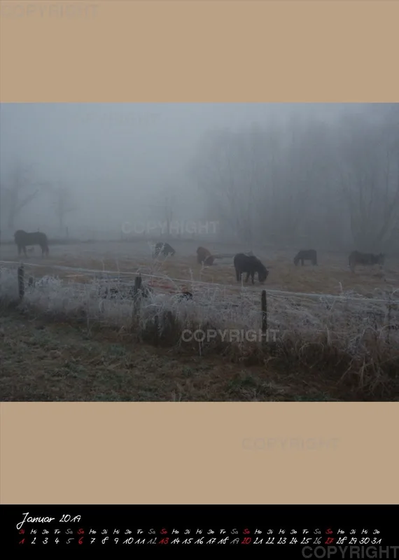 Bildkalender 2019 Lucky Farm