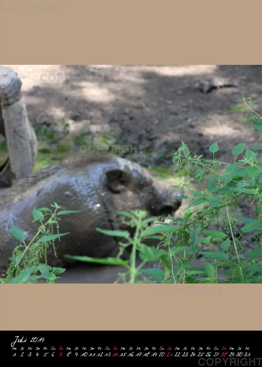 Bildkalender 2019 Lucky Farm