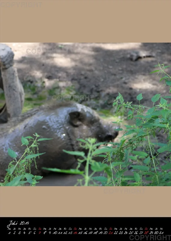 Bildkalender 2019 Lucky Farm