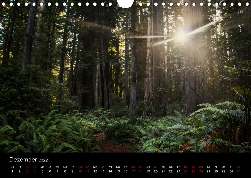 USA Nationalparks