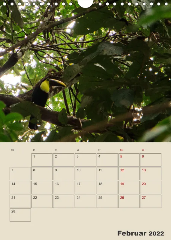 Planer Costa Rica