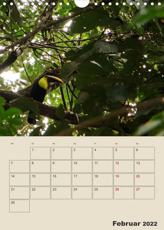 Planer Costa Rica