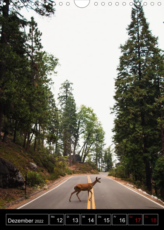 Roadtrip USA