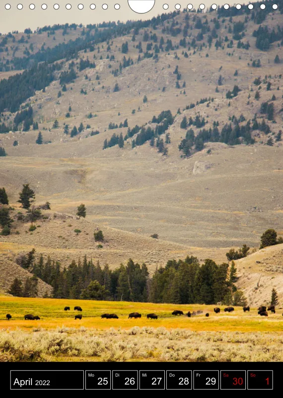 Roadtrip USA