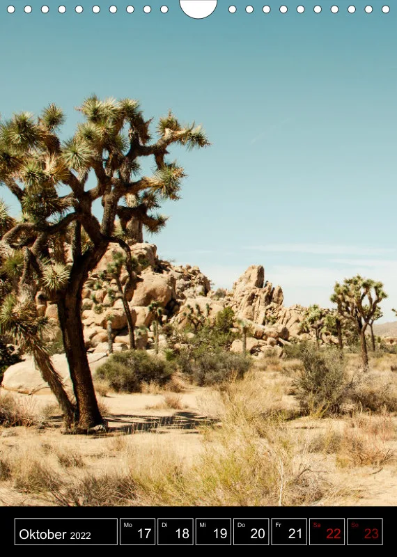 Roadtrip USA