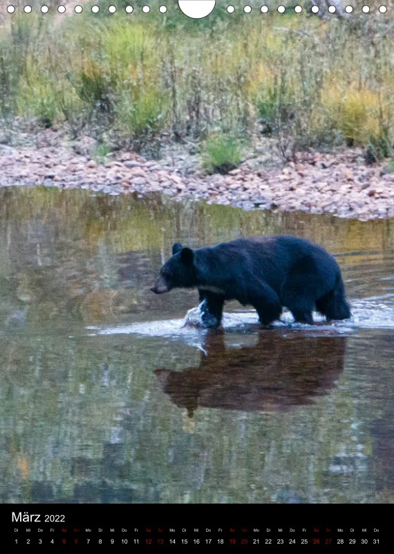 Tiere Nordamerikas