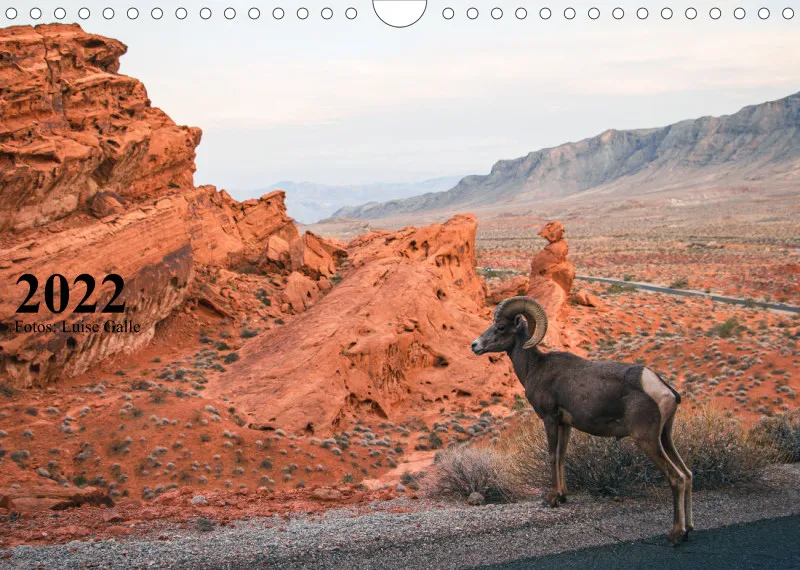 Roadtrip USA