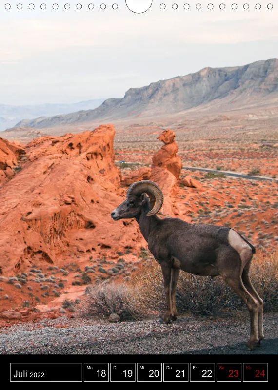 Roadtrip USA