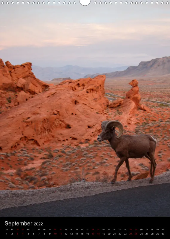Landschaft USA