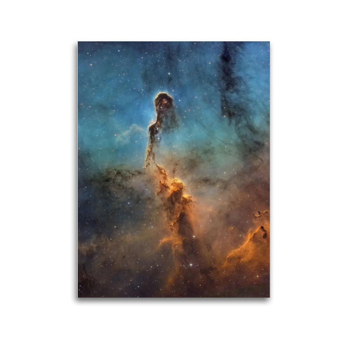 Leinwand: Elefanterüssel Niwwel 80x60cm