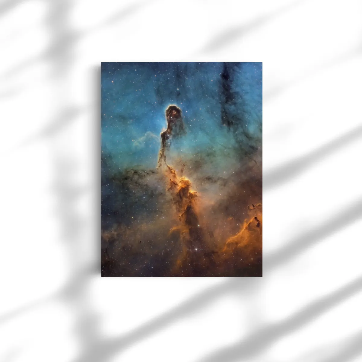 Leinwand: Elefanterüssel Niwwel 80x60cm