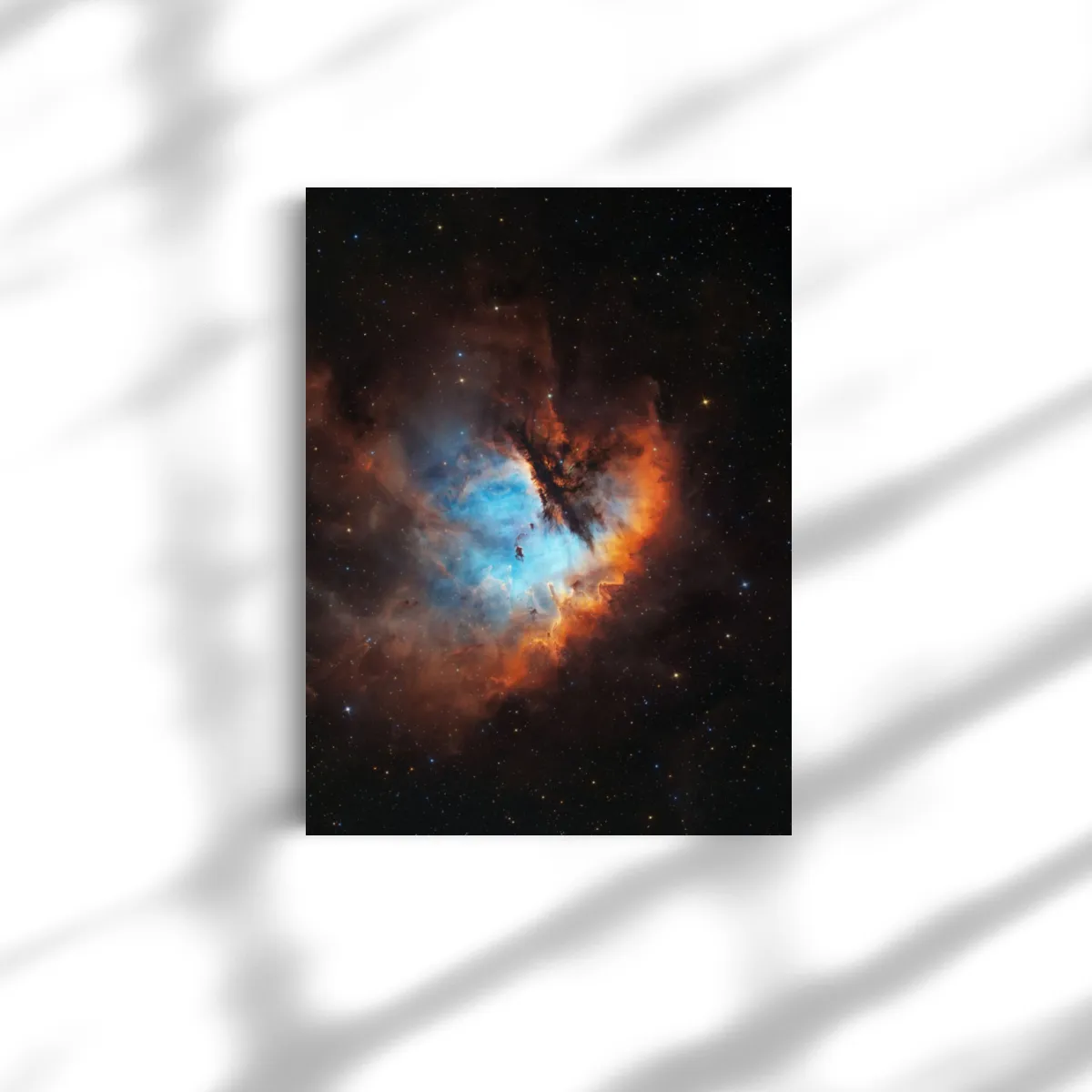 Leinwand: Pacman Niwwel 80x60cm