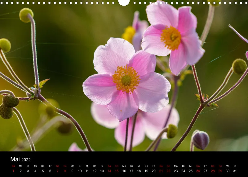 A3 Freunde-Kalender 2022