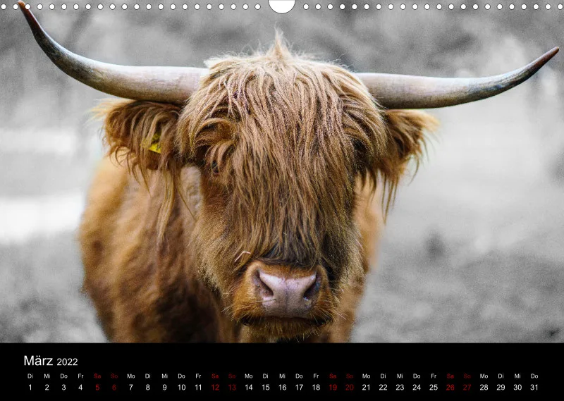 A3 Freunde-Kalender 2022