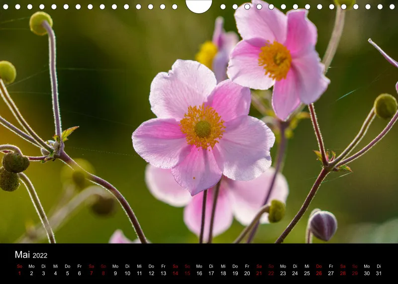 A4 Freunde-Kalender 2022