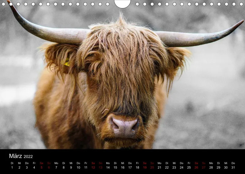 A4 Freunde-Kalender 2022