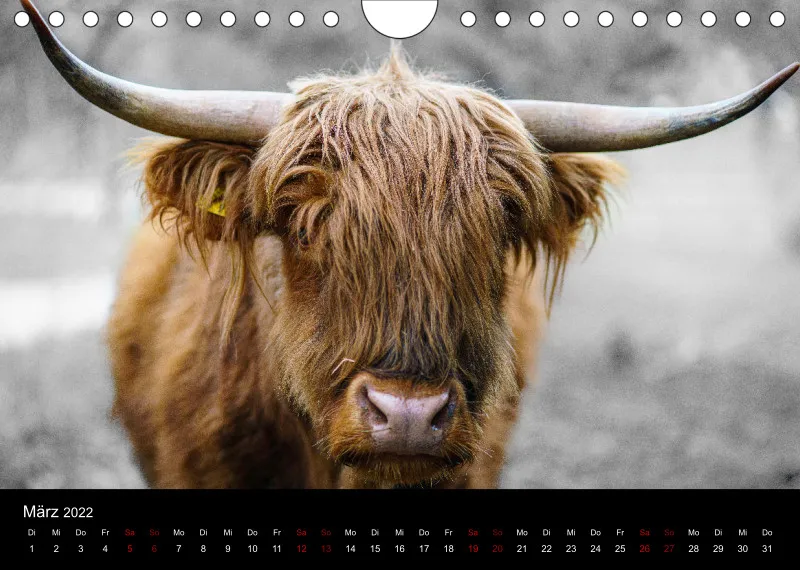 A5 Freunde-Kalender 2022