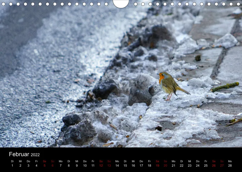 A4 Freunde-Kalender 2022