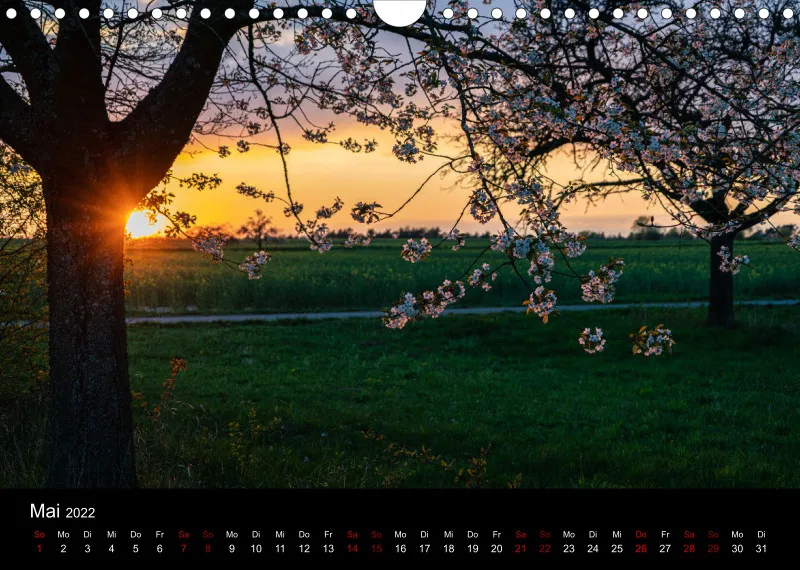 A4-Freunde-Kalender [update 2022]