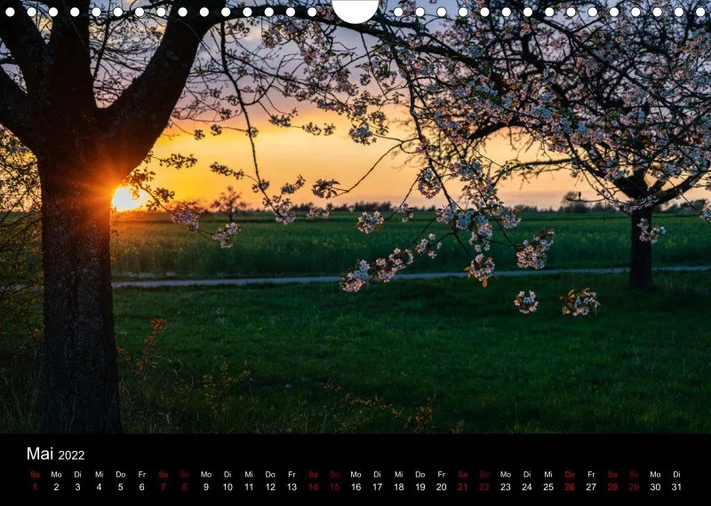 A4-Freunde-Kalender [update 2022]