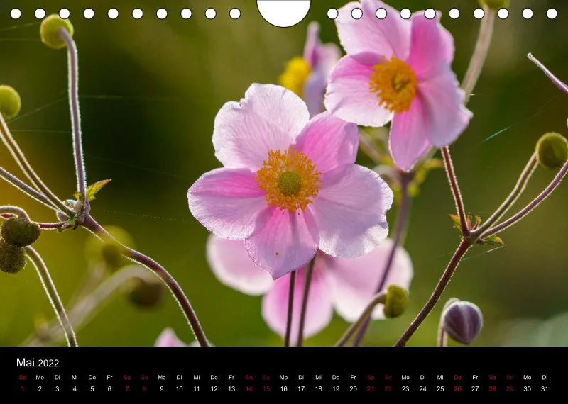 A5 Freunde-Kalender 2022