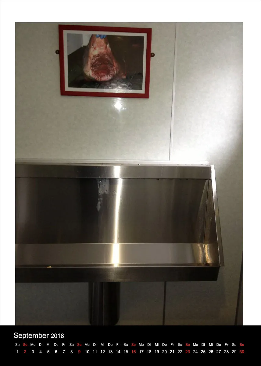 Schottische Urinale 2018