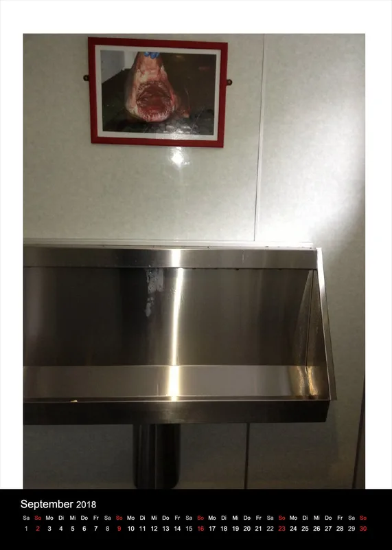 Schottische Urinale 2018