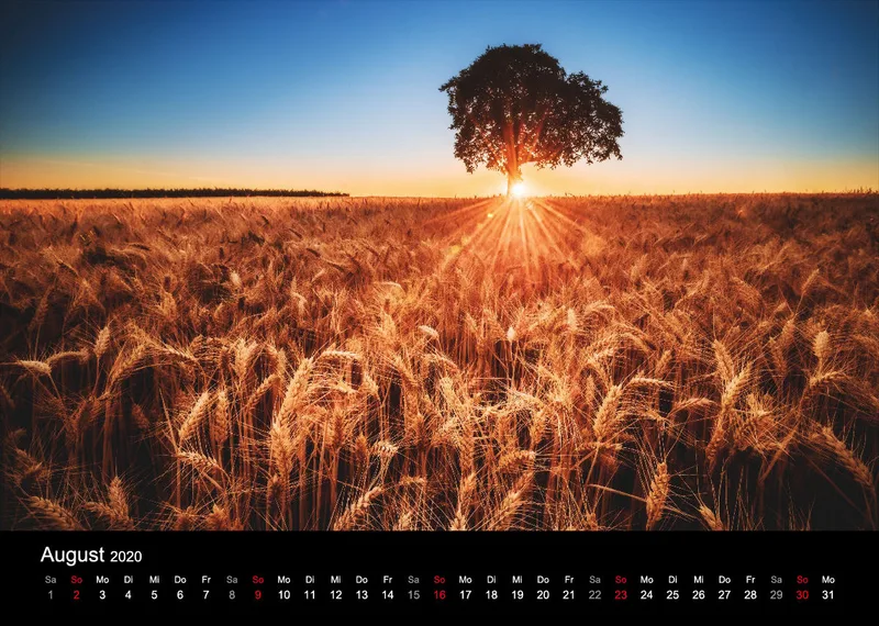 Gegen die Sonne 2020 A4