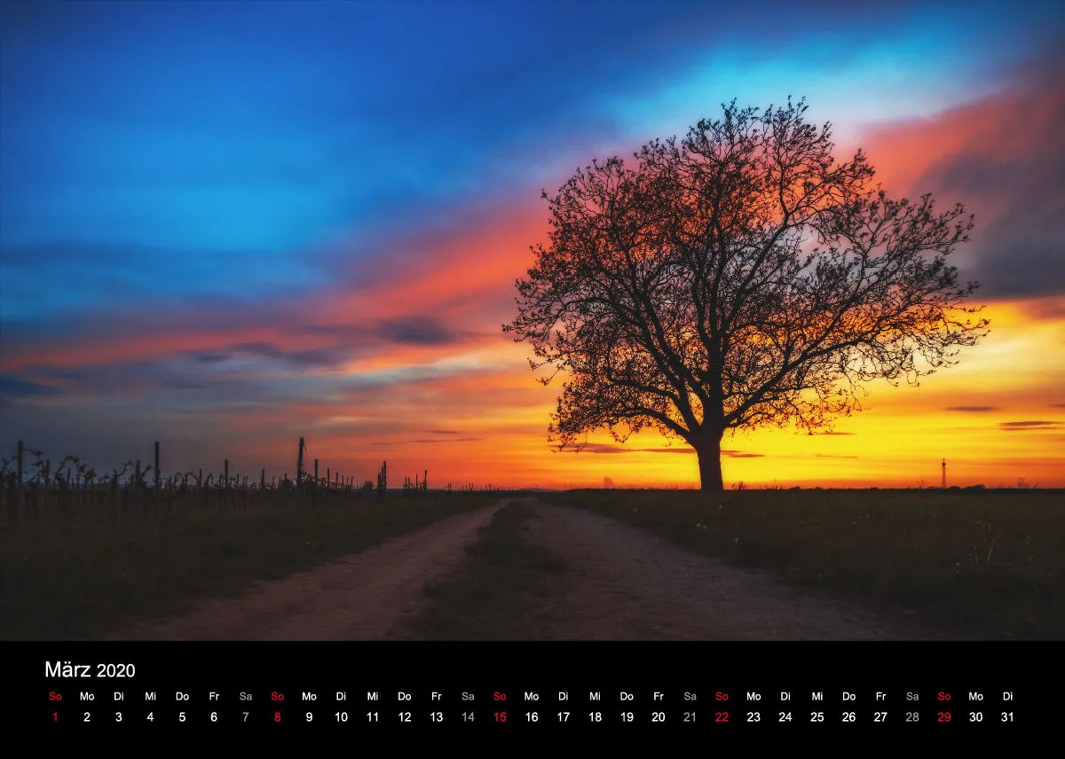 Dusk & Dawn 2020 A2