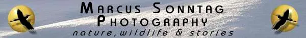 Marcus Sonntag Photography