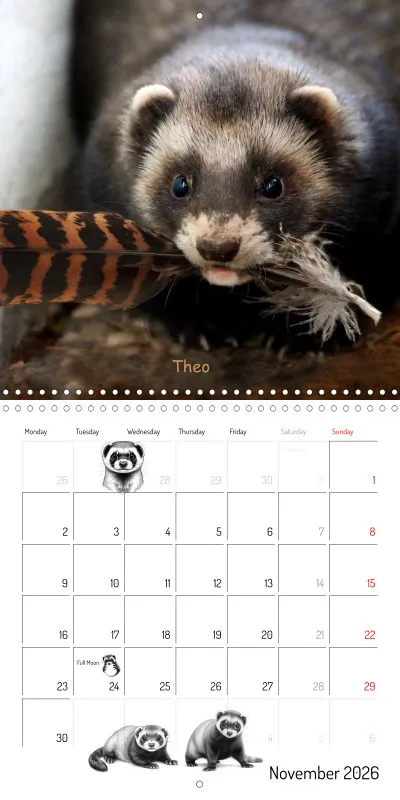 Marie's Ferrets 2026
