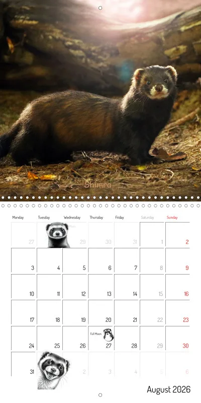 Marie's Ferrets 2026