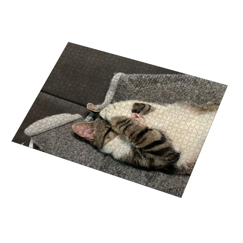 fussel test puzzle