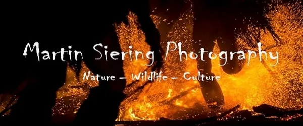 martinsieringphotography