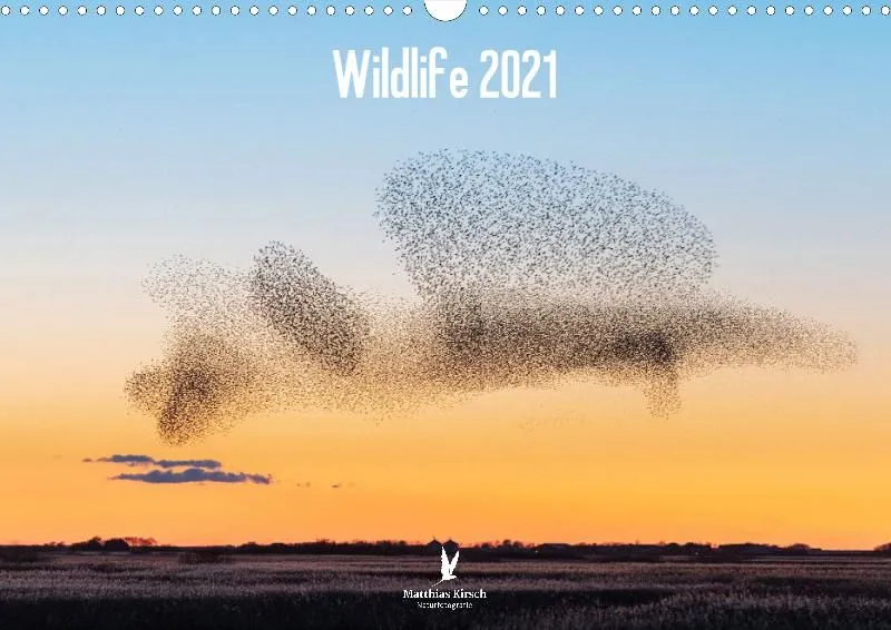 Wildlife 2021 NL