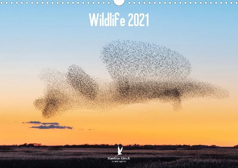 Wildlife 2021 NL